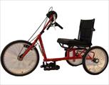 AmTryke 1424 Community Cruiser