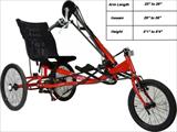 AmTryke HP 1000 Recreation Cycle