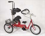 AmTryke ProSeries Models