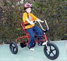 TheraTrike Therapeutic Tricycles
