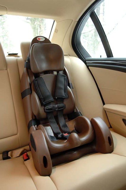 Special Tomato Booster Car Seat